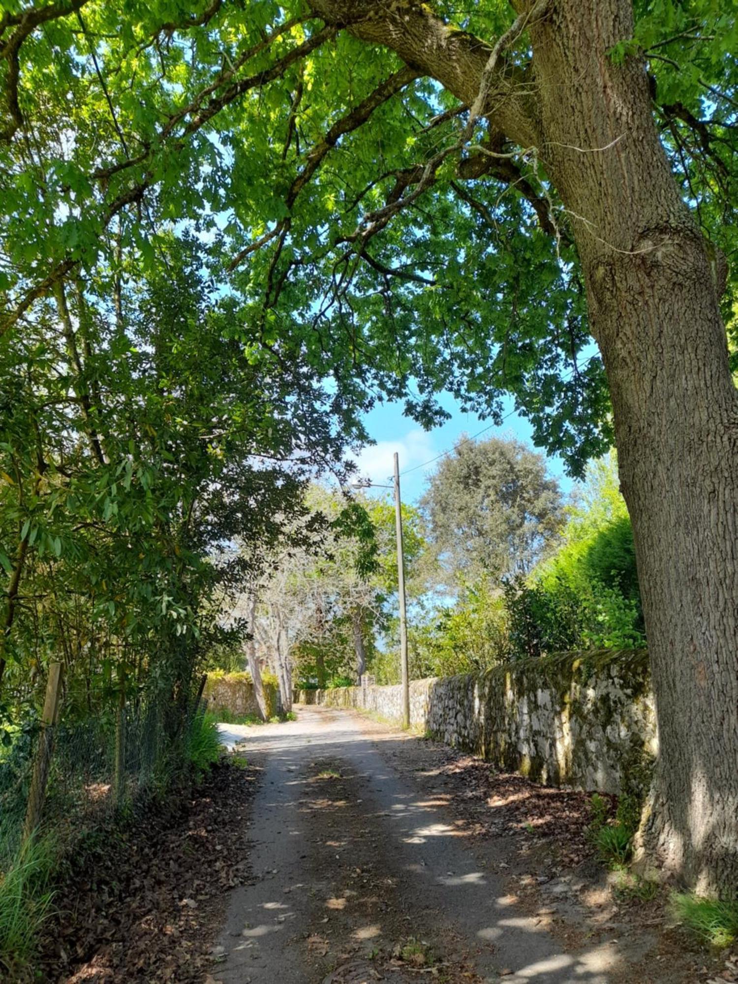 Garman Βίλα Llanes Εξωτερικό φωτογραφία